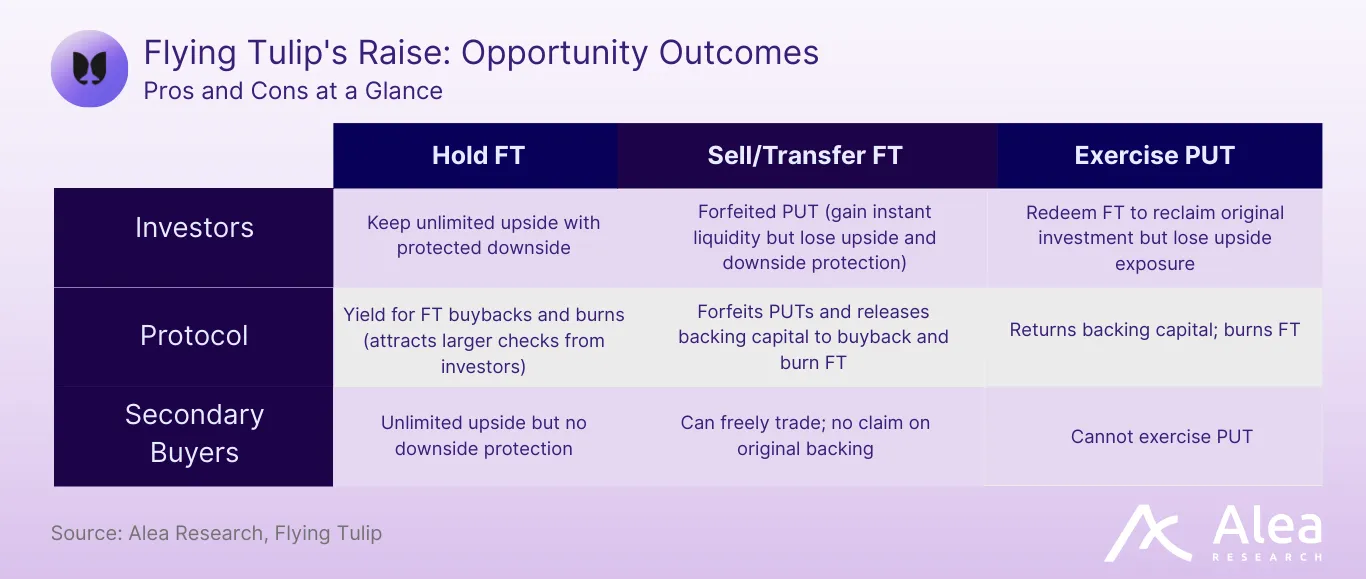 Diagram of possible outcomes from Flying Tulip’s capital raise.