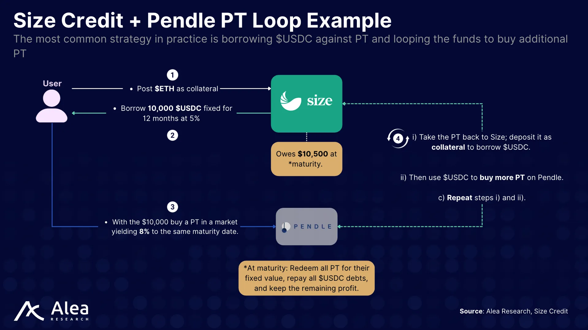 Size Credit 11 Step-by-step visual showing the Size + Pendle PT looping strategy for yield optimization.
