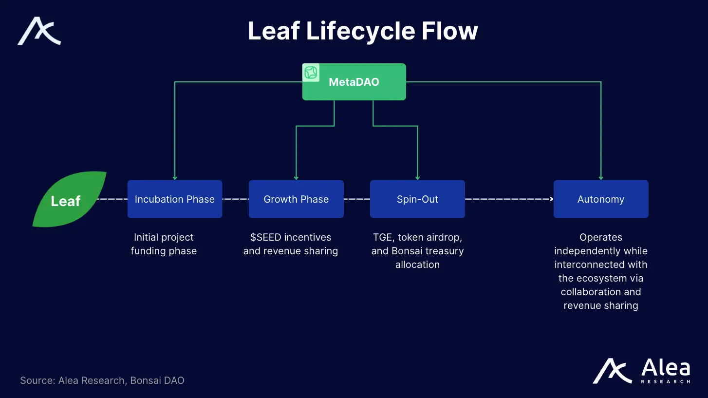 Visual showing the lifecycle phases of Leaf projects: incubation, growth, spin-out, and autonomy.