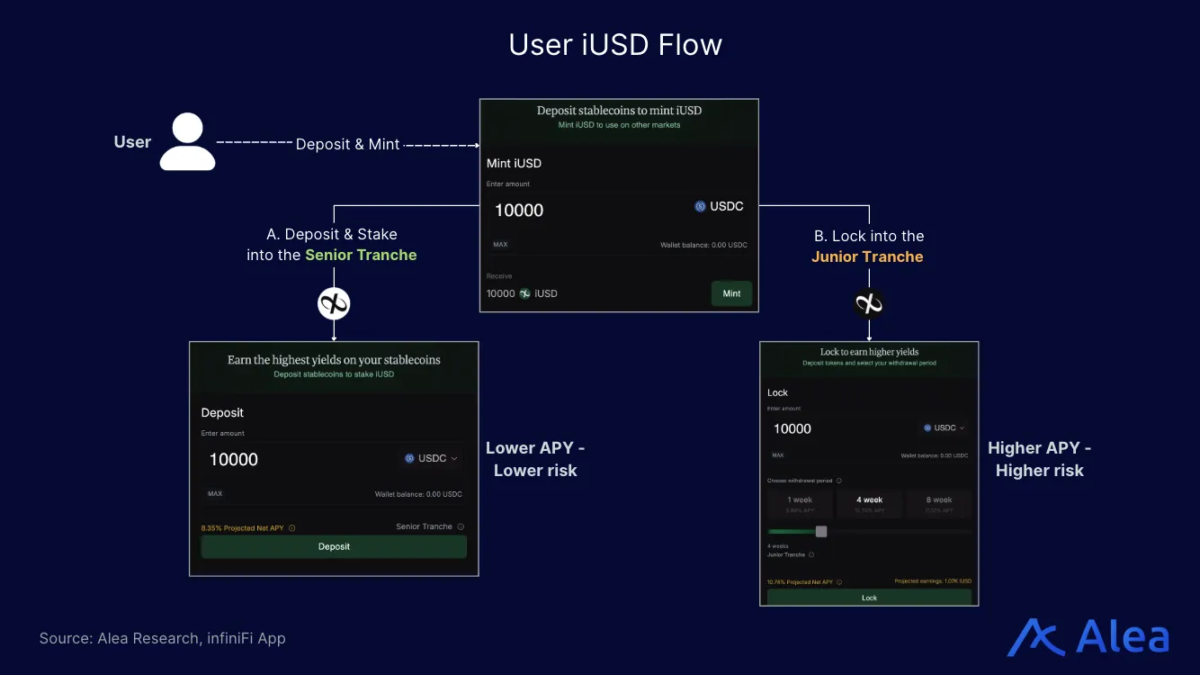 Diagram showing how users deposit stablecoins to mint iUSD and choose between senior and junior tranches based on risk and APY.